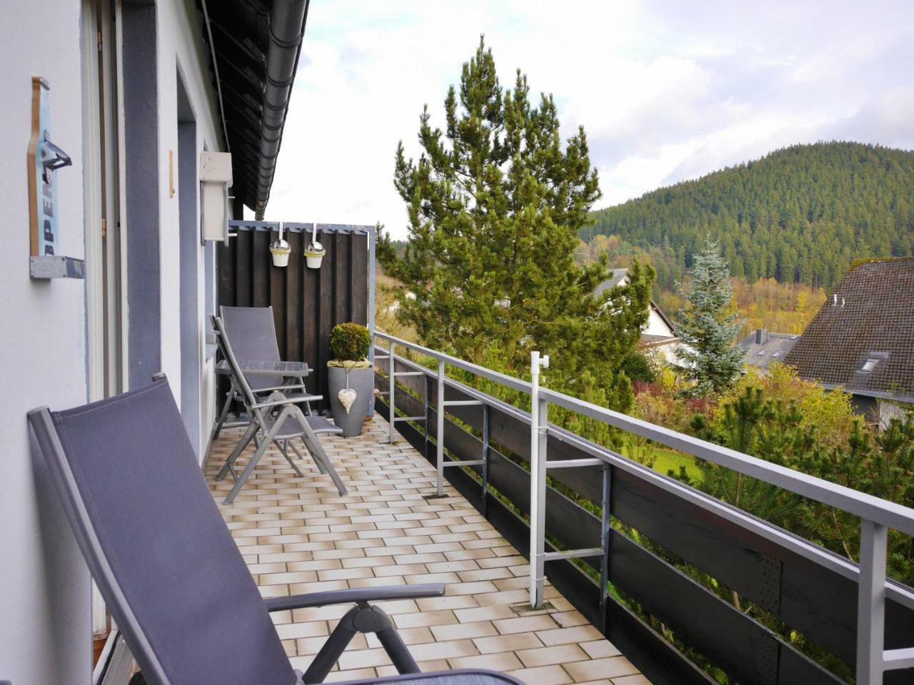 Apartment Komfort-fewo Ettelsberg-panorama Willingen (Upland)